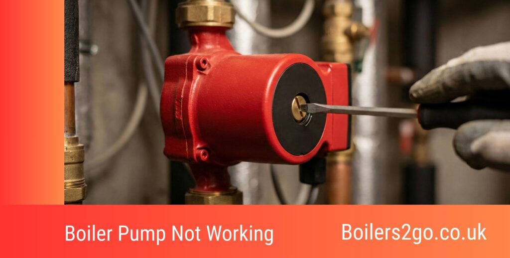 Boiler Pump Not Working
