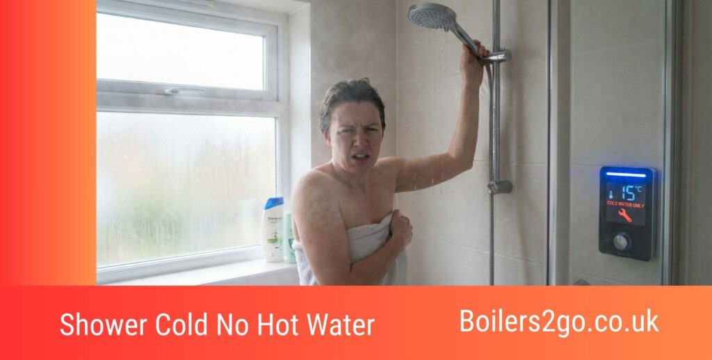 Shower Cold No Hot Water
